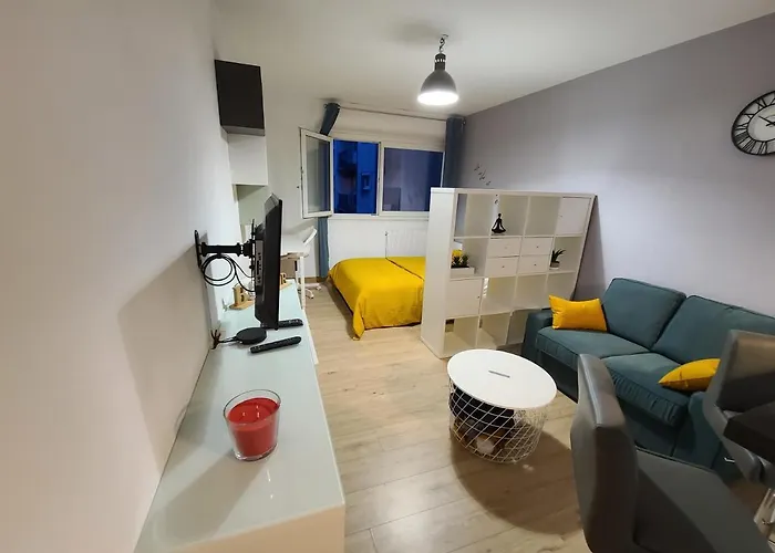 Magnifique Studio 26m2